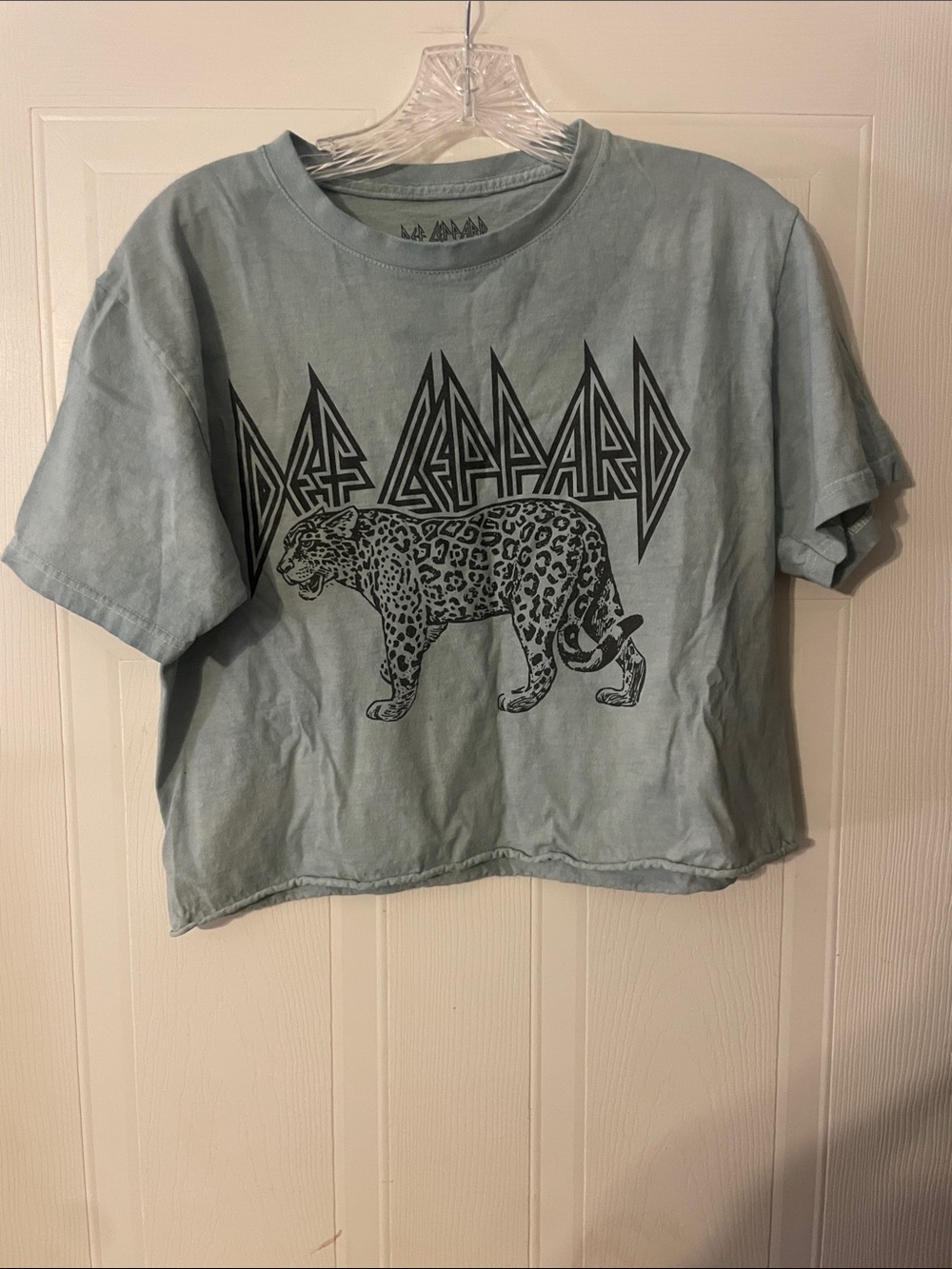 Womans Cropped Graphic Tee in Light Sage Green “Def Leppard”
